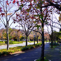 img_doboku01 img_doboku01